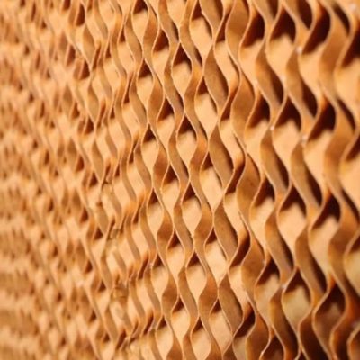 cellulose honeycomb media